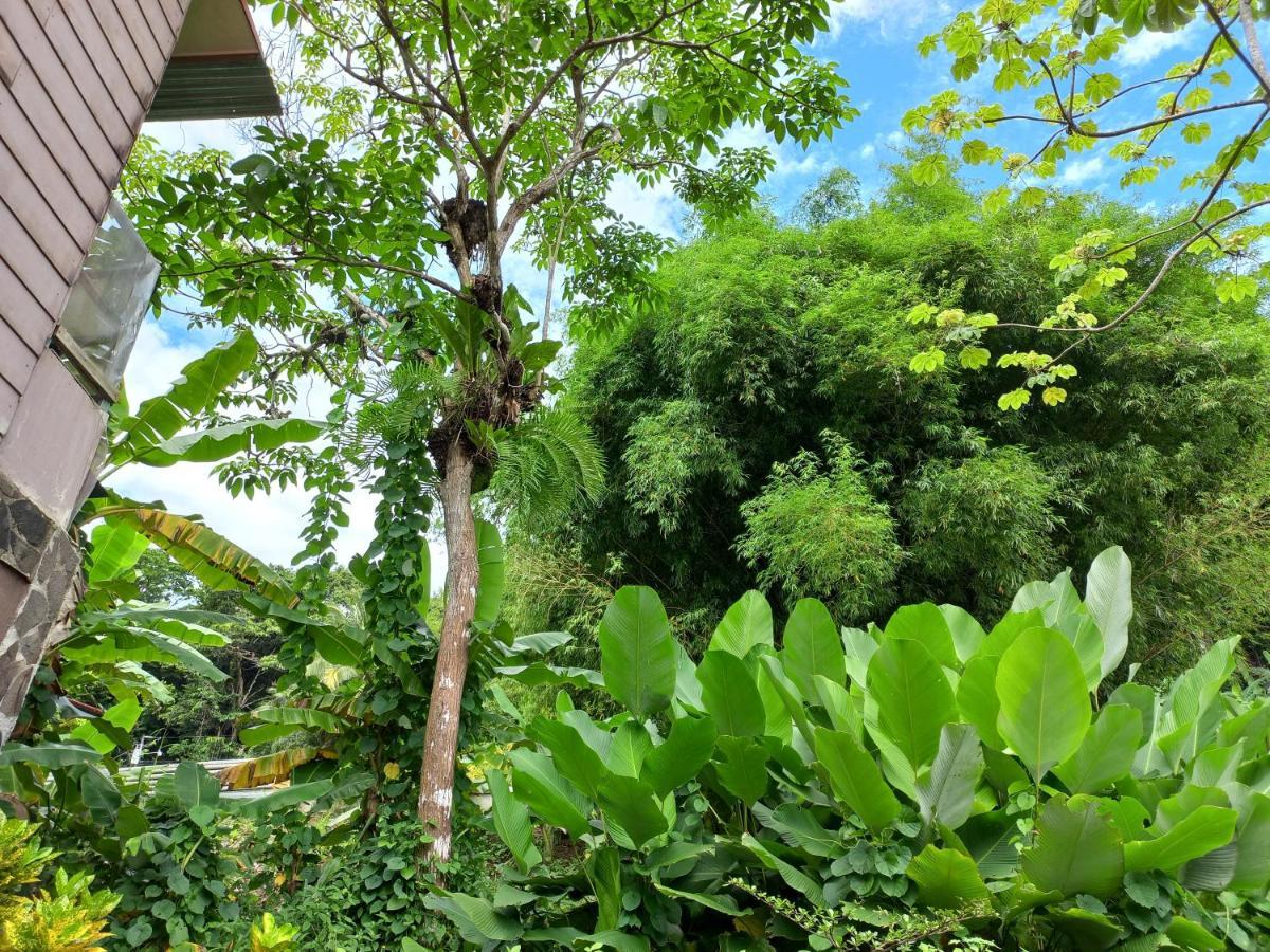 Sunrise House Bed & Breakfast Quepos Eksteriør bilde