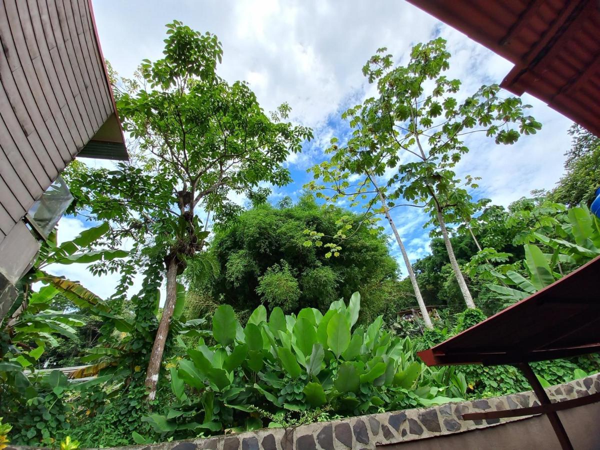 Sunrise House Bed & Breakfast Quepos Eksteriør bilde